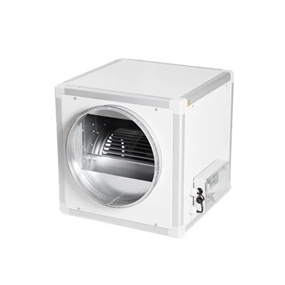 Cubus